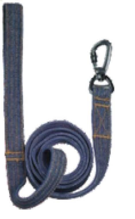 Pet Leash 1
